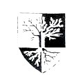 Slekts- og lokalhistorisk forening i Tromsø - logo