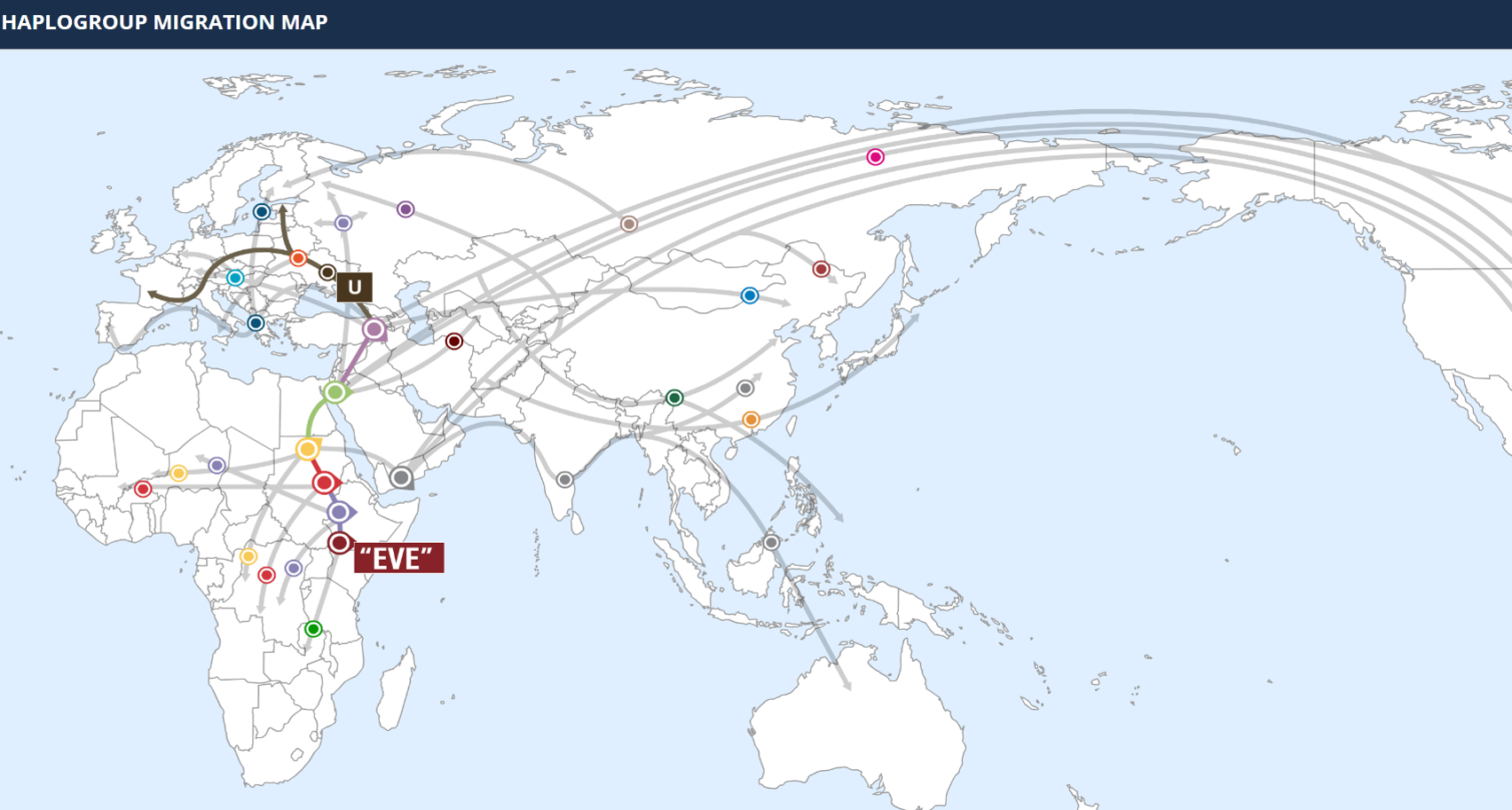 mtDNA