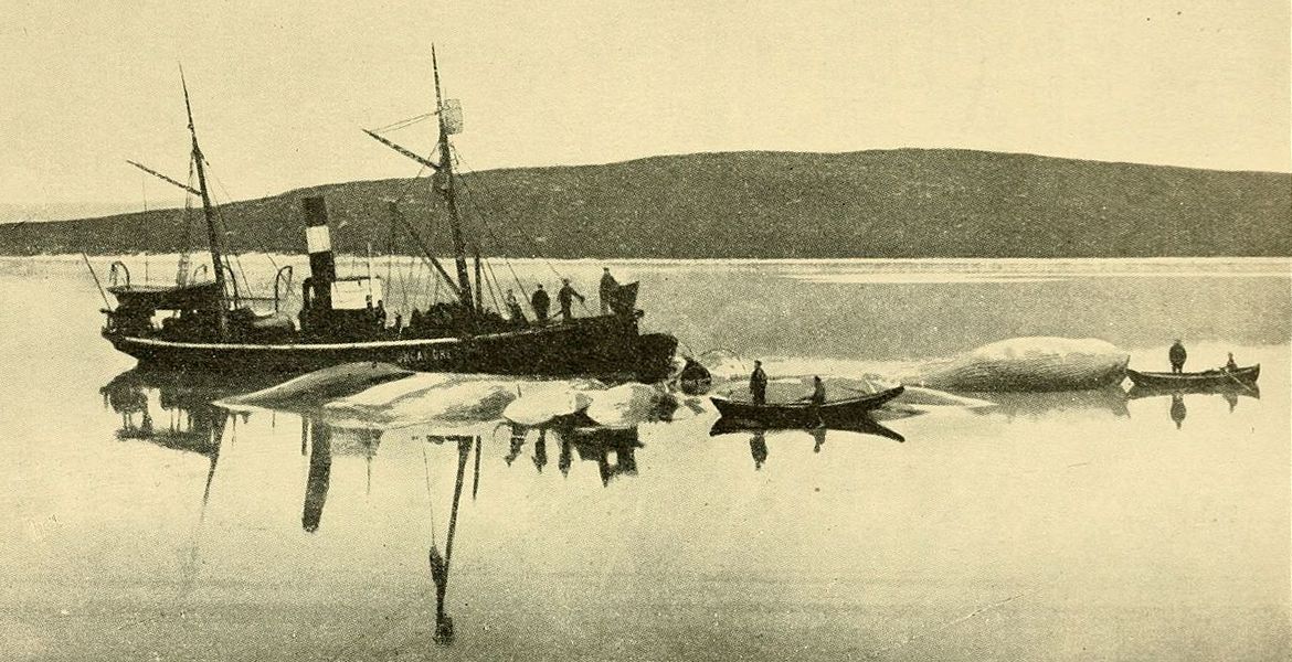 Hvalfangst i Finnmark