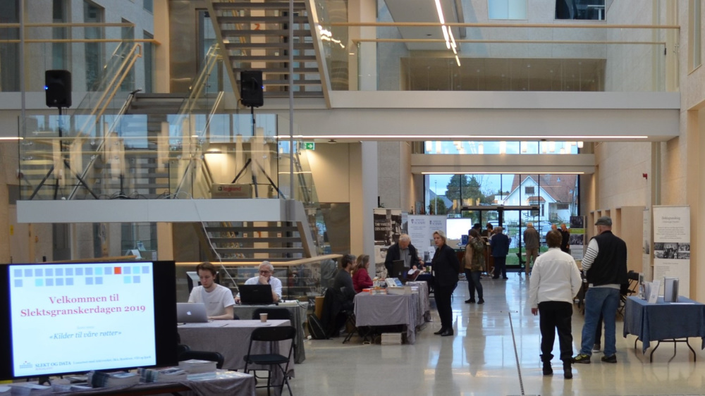 SFD 2019