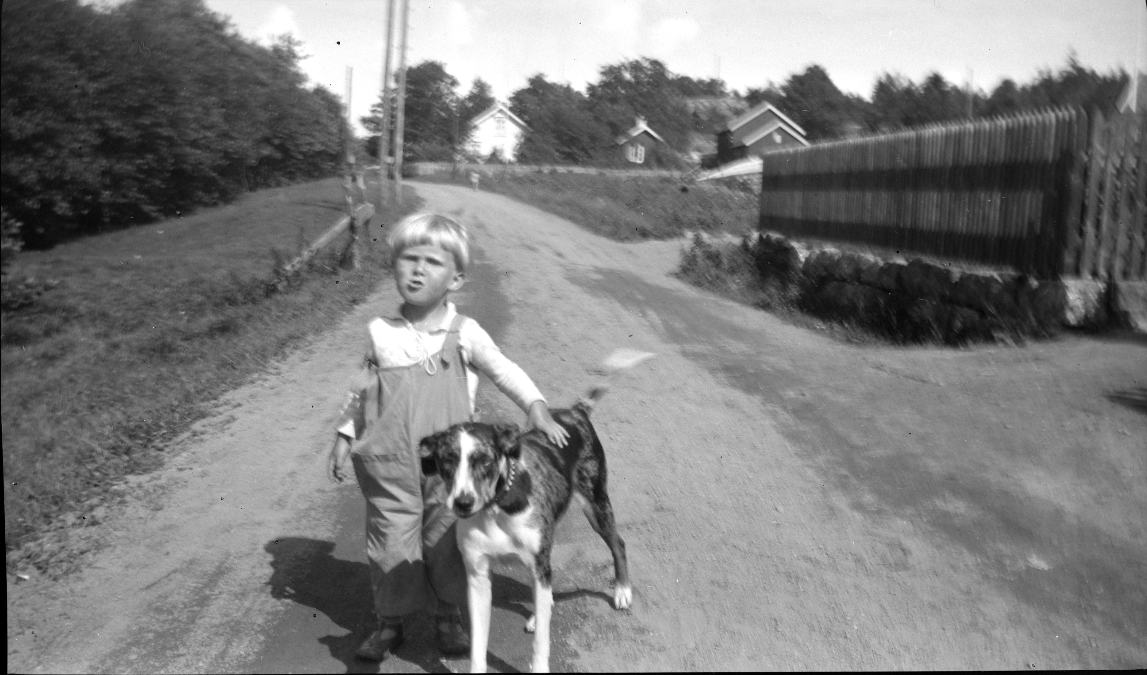 Liten gutt og hund