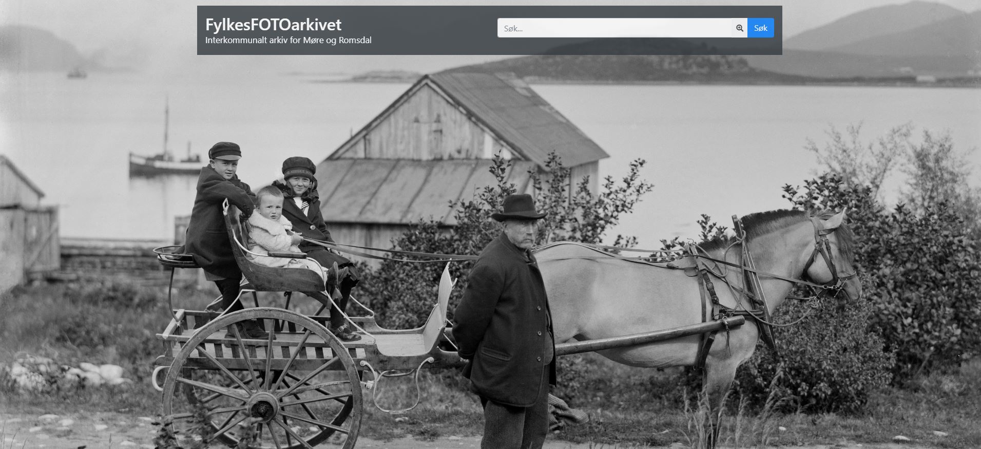 Bildebasen til Fylkesfotoarkivet. Foto: Skjermdump.