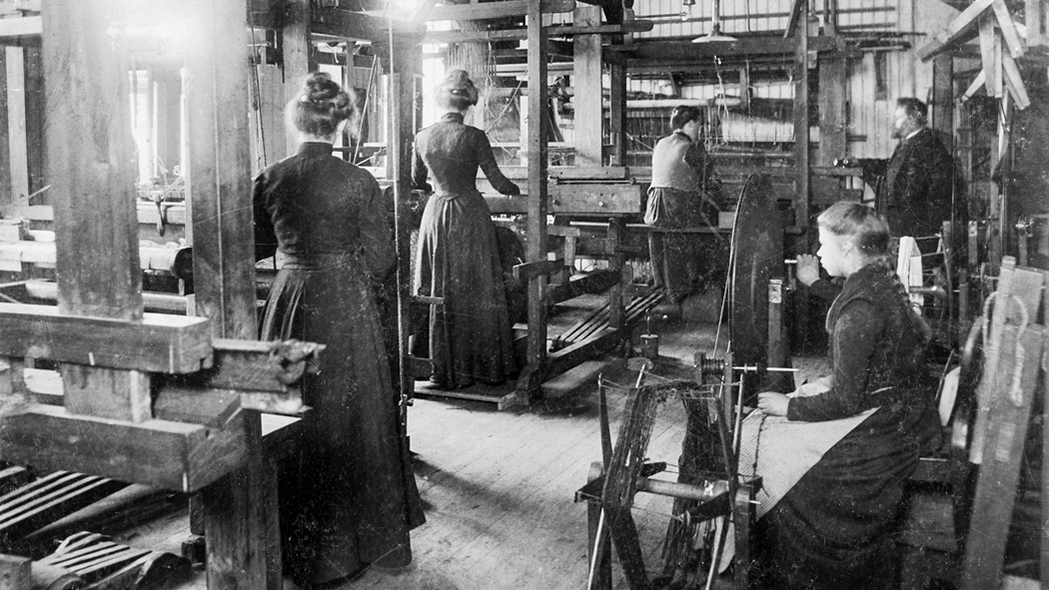 Veversker i 1902.