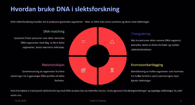DNA- Heidi S. Fjeldvig