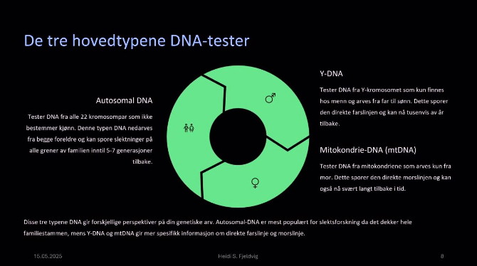 DNA- Heidi S. Fjeldvig