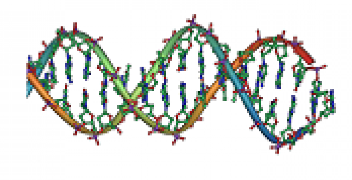 DNA lenke