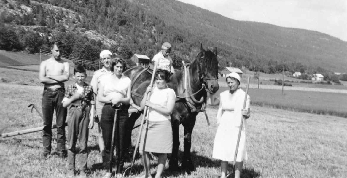 Familie i slått