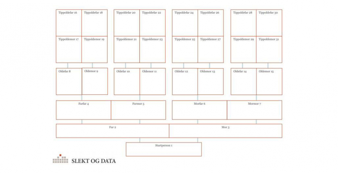 Bilde av slektstre