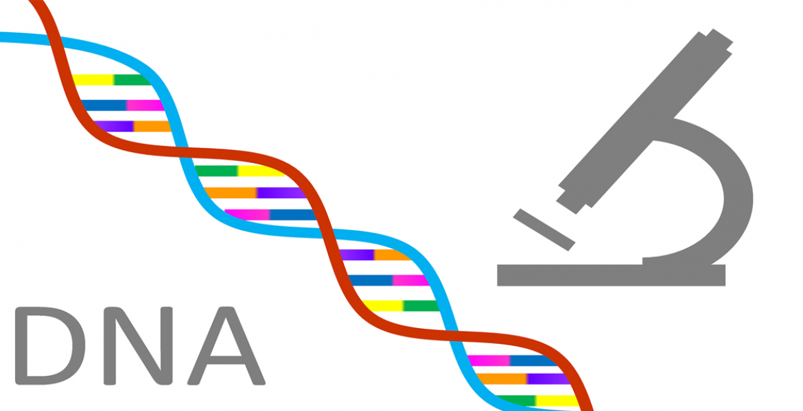 DNA i slektsforskning