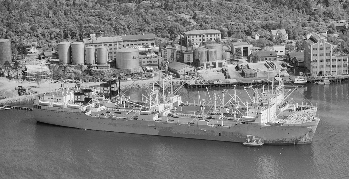 Hvalkokeriene Kosmos III og Kosmos IV i Sandefjord 1956