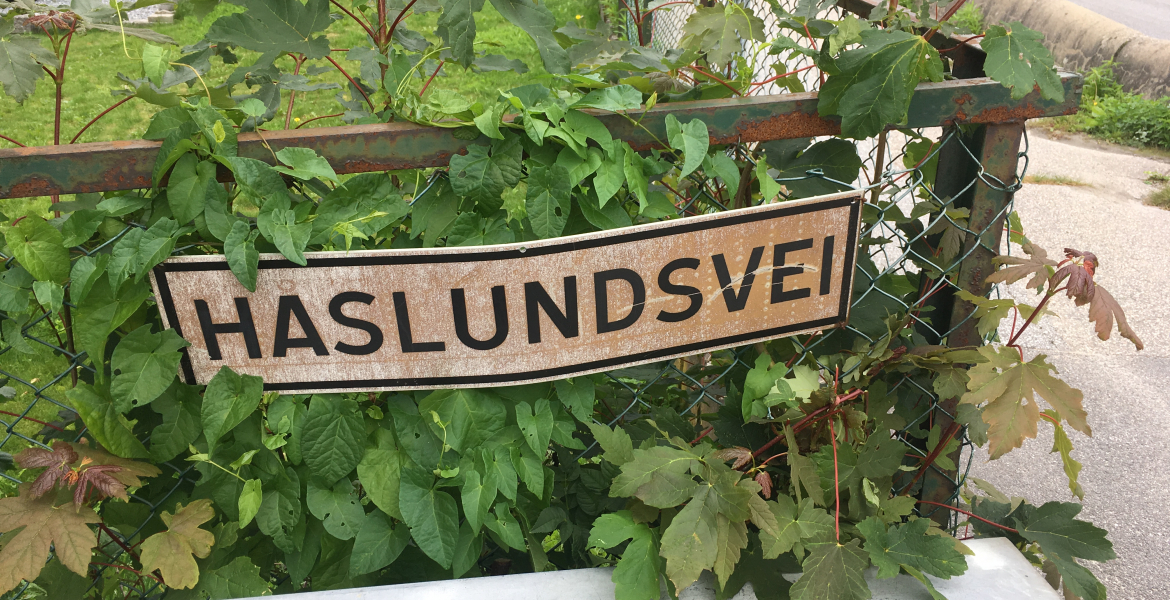 Haslundsvei