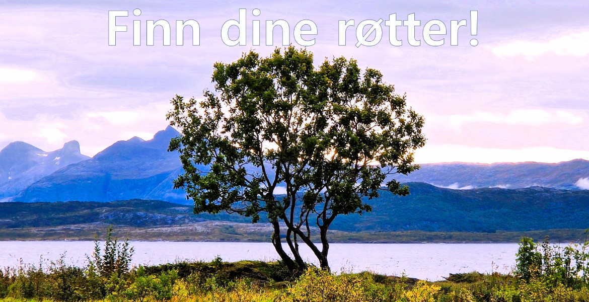 Finn dine røtter - kyststien Bodøsjøen