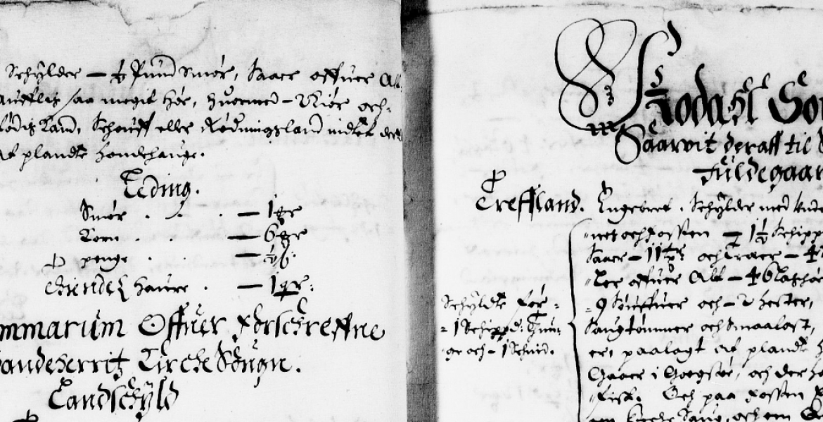 Matrikkel 1667 Brunla