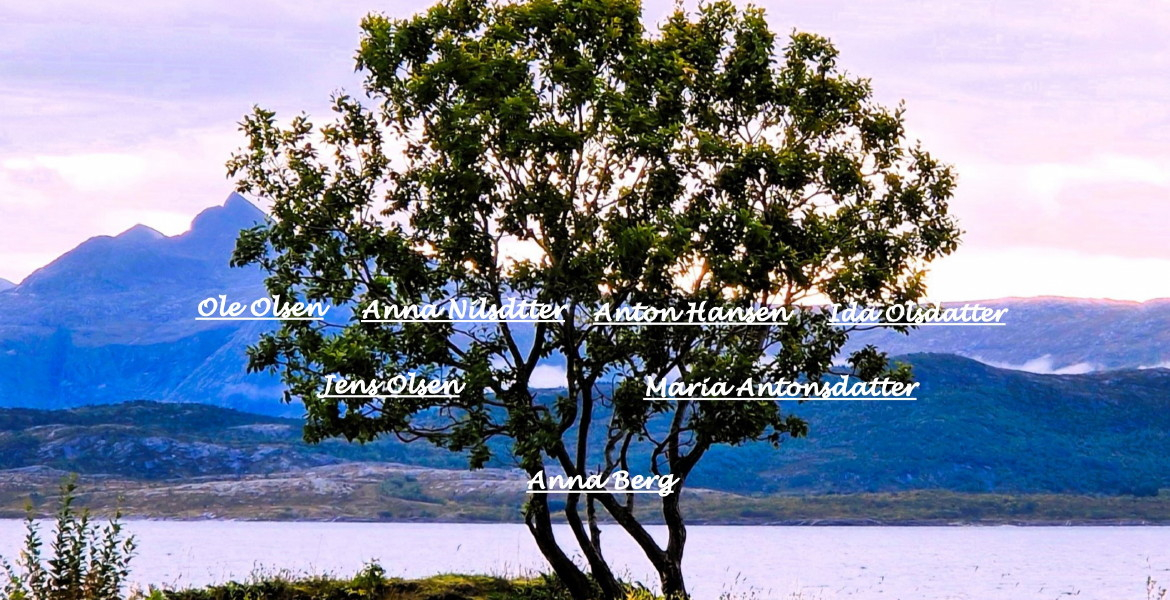 Tre på Kyststien i Bodø